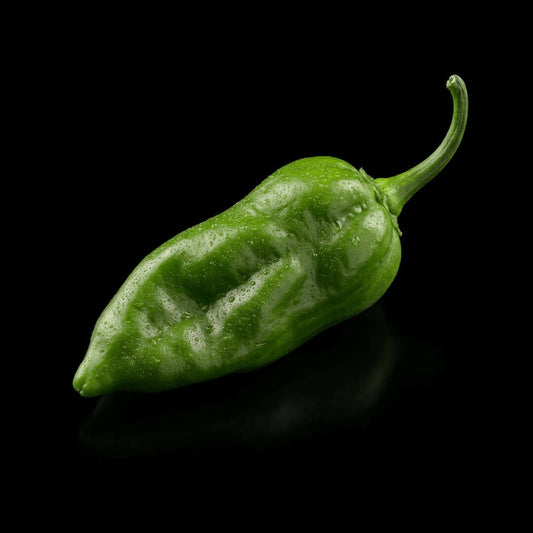 7 Pot Bubblegum Seeds