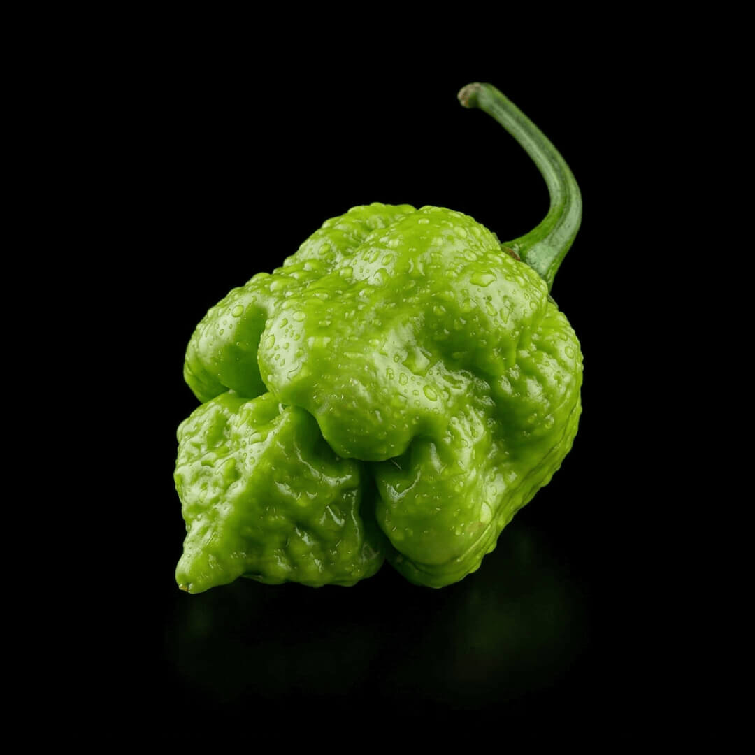 7 Pot Brain Strain (Orange) Seeds