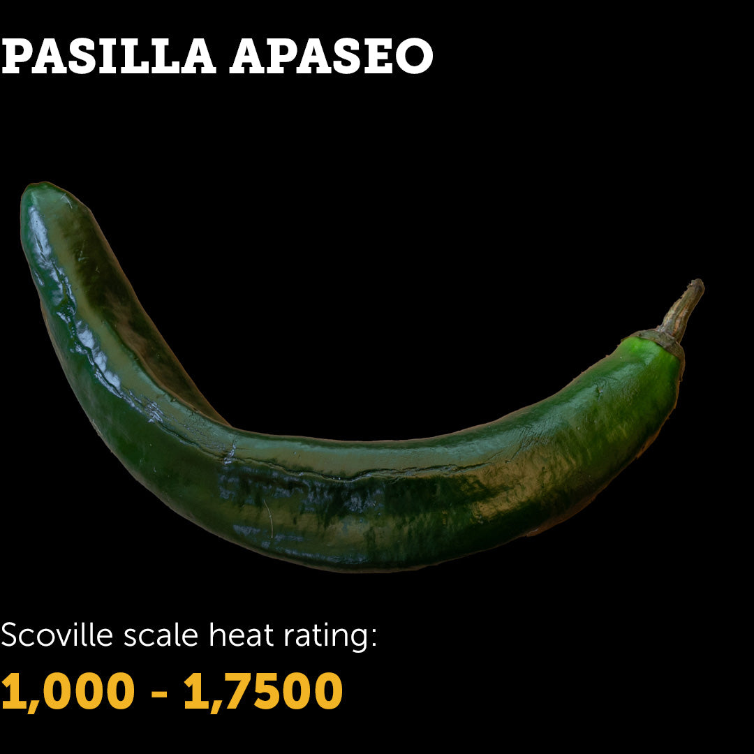 Pasilla Apaseo Seeds