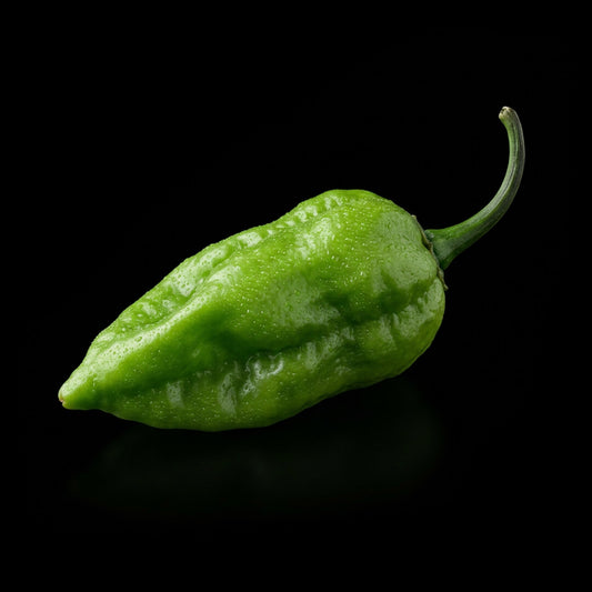 Bhut Jolokia (Chocolate) Seeds