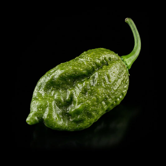 Big Black Mama Seeds