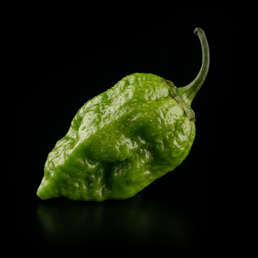 Bubblegum Naga Seeds