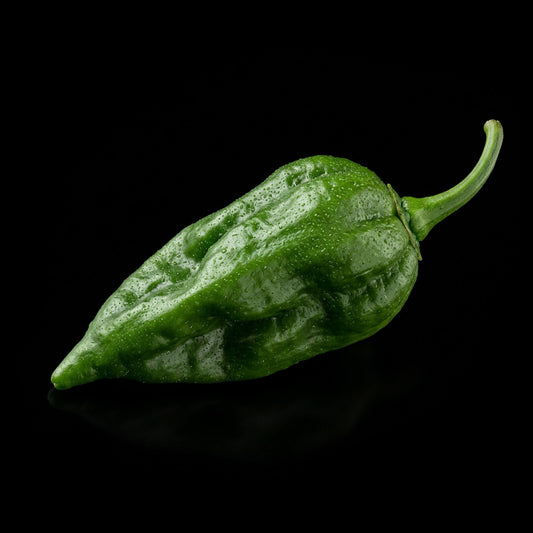 Fatalii (White) Seeds