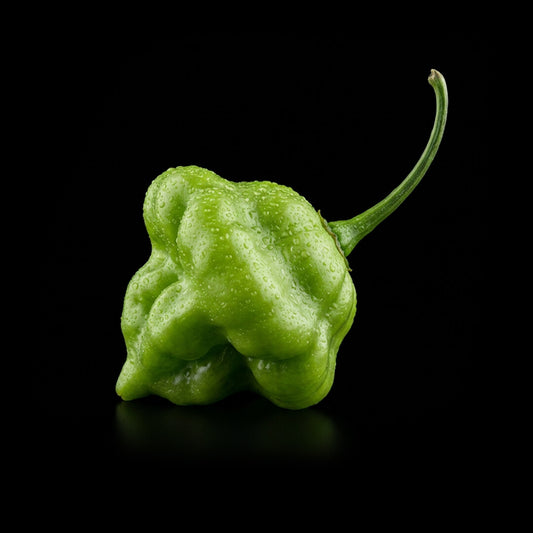 KS Lemon Starrburst Seeds