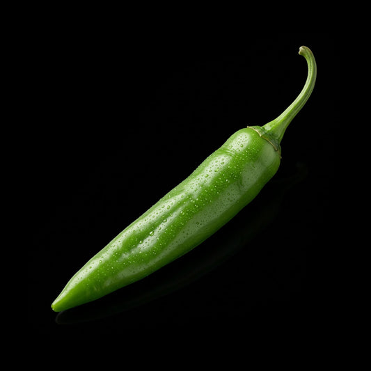 Mirasol (Guajillo) Seeds