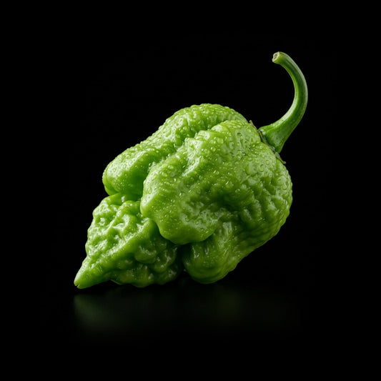 Naga Brain (Red) Seeds