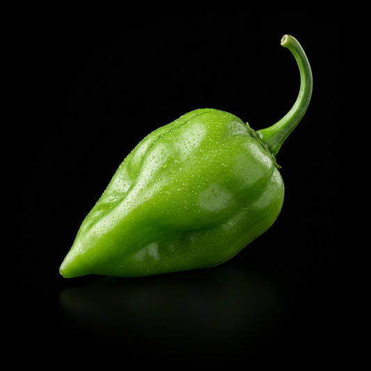 Orange Lantern Seeds