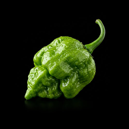 Papa Dreadie Scotch Bonnet Seeds
