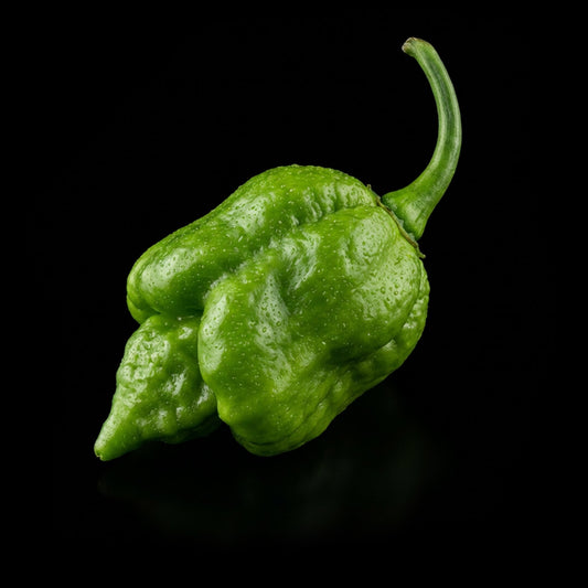 Trinidad Scorpion Butch T Pepper Seeds