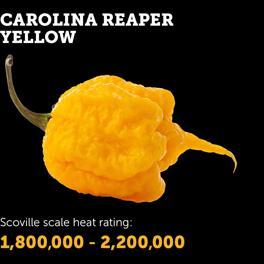 Carolina Reaper (Yellow) Seeds