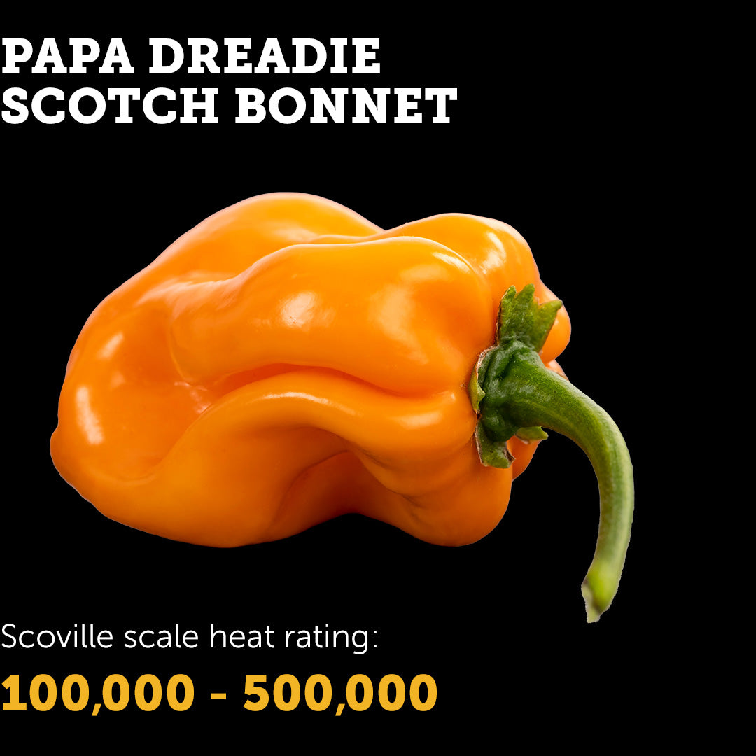 Papa Dreadie Scotch Bonnet Seeds