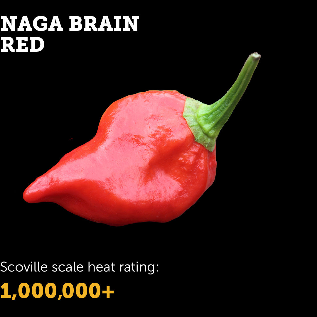 Naga Brain (Red) Seeds