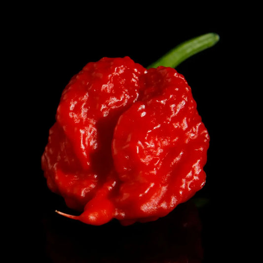 Chilli Seeds NZ Carolina Reaper Chilli