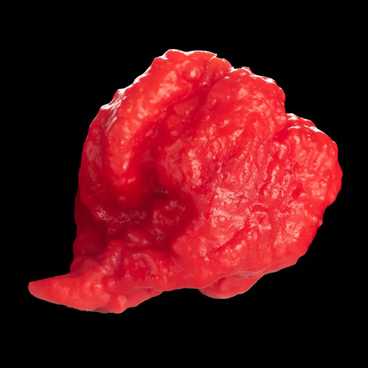 Chilli Seeds NZ Dragon’s Breath Chilli