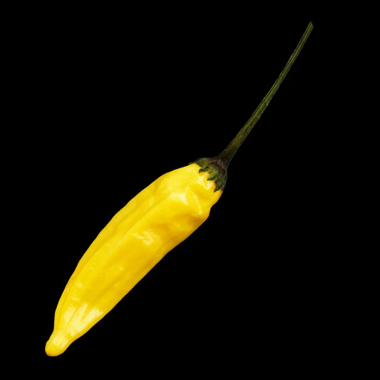Chilli Seeds NZ Aji Limón Lemon Drop Chilli