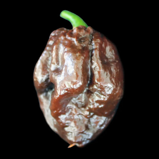 Chilli Seeds NZ Big Black Mama Chilli