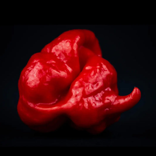 Chilli Seeds NZ Trinidad Scorpion Moruga Chilli