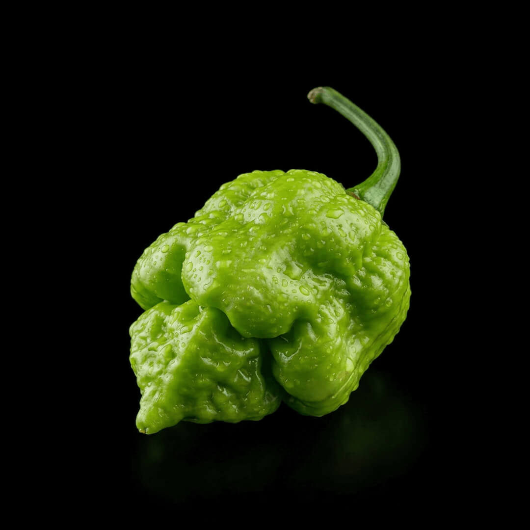 7 Pot Brain Strain (Yellow) Seeds