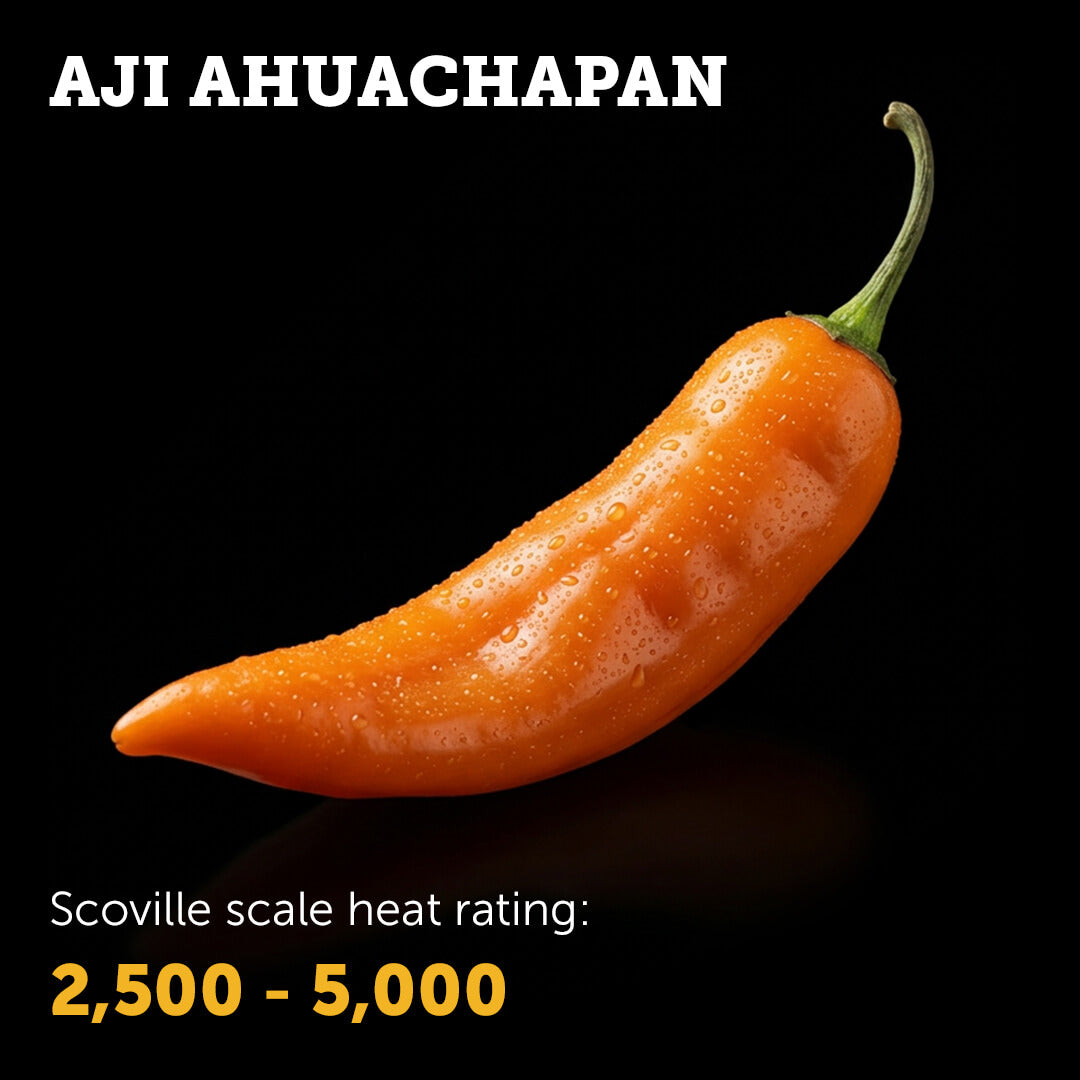 Aji Ahuachapan Seeds