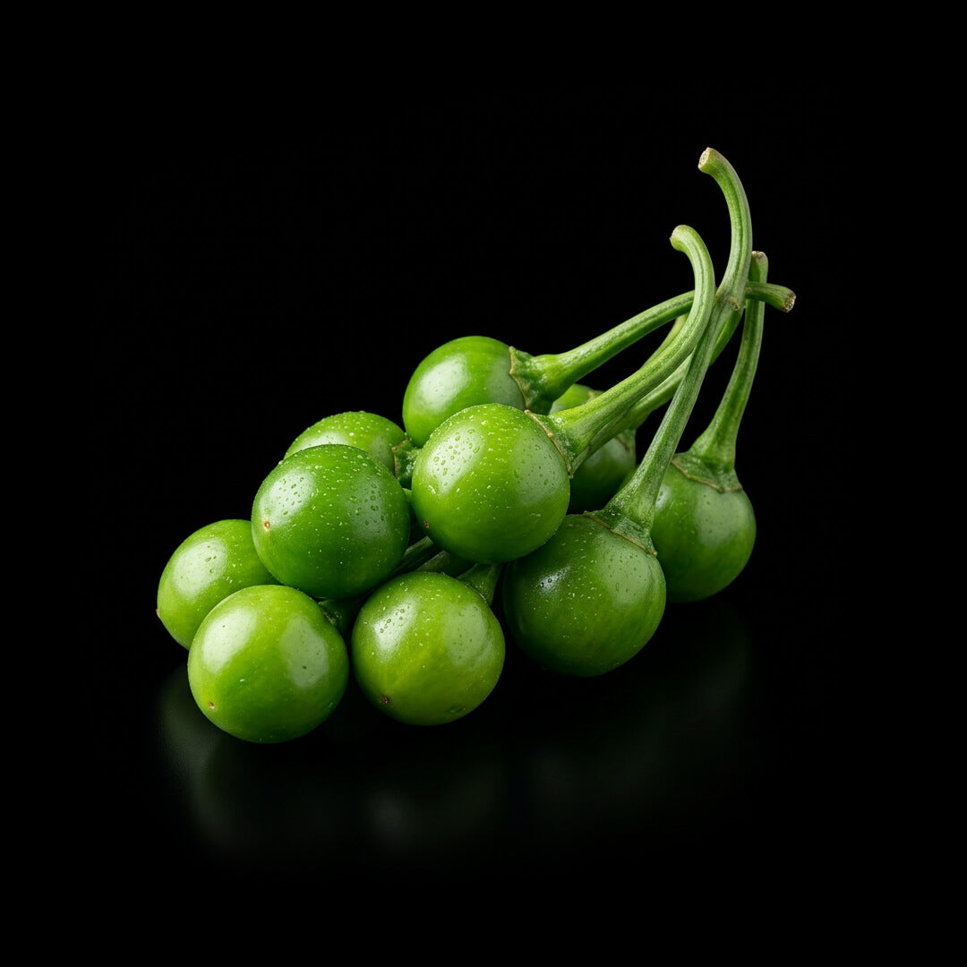 Unripe green Aji Charapita chilli pepper