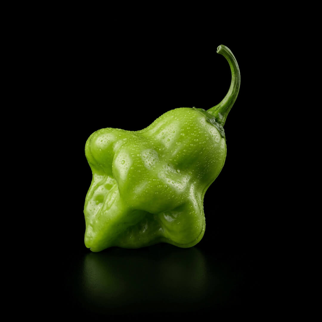 Aji Fantasy White Seeds