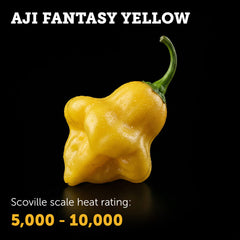 Aji Fantasy (Yellow) Seeds