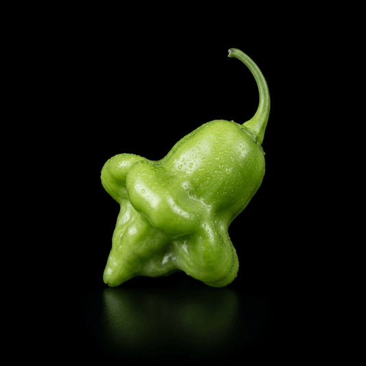 Aji Fantasy Yellow Seeds