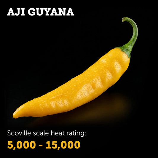 Ripe yellow Aji Guyana chilli pepper