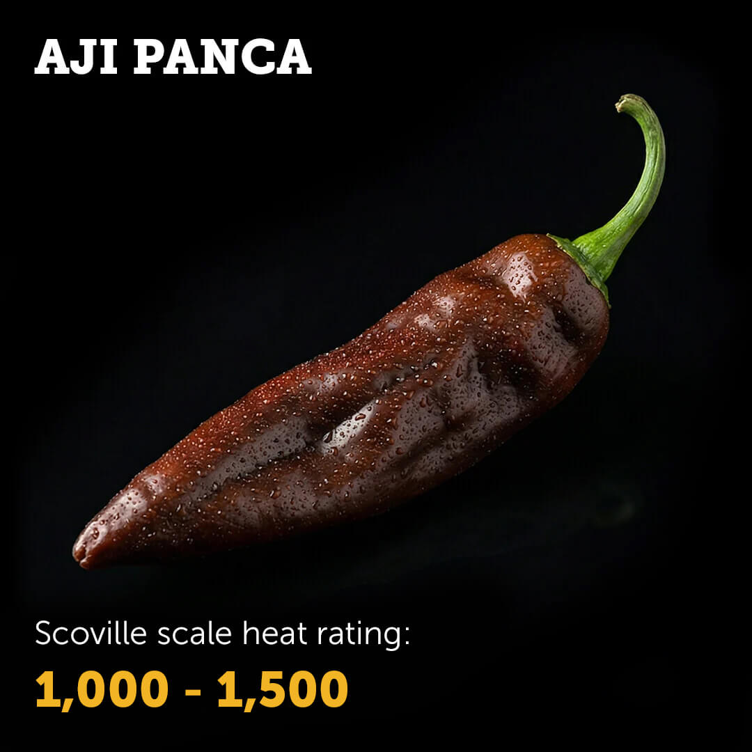 Ripe deep red Aji Panca chilli pepper