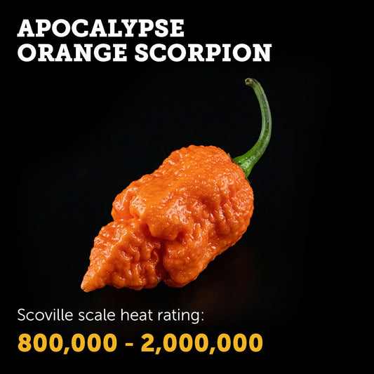 Apocalypse Orange Scorpion Seeds