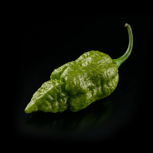 Apocalypse Orange Scorpion Seeds