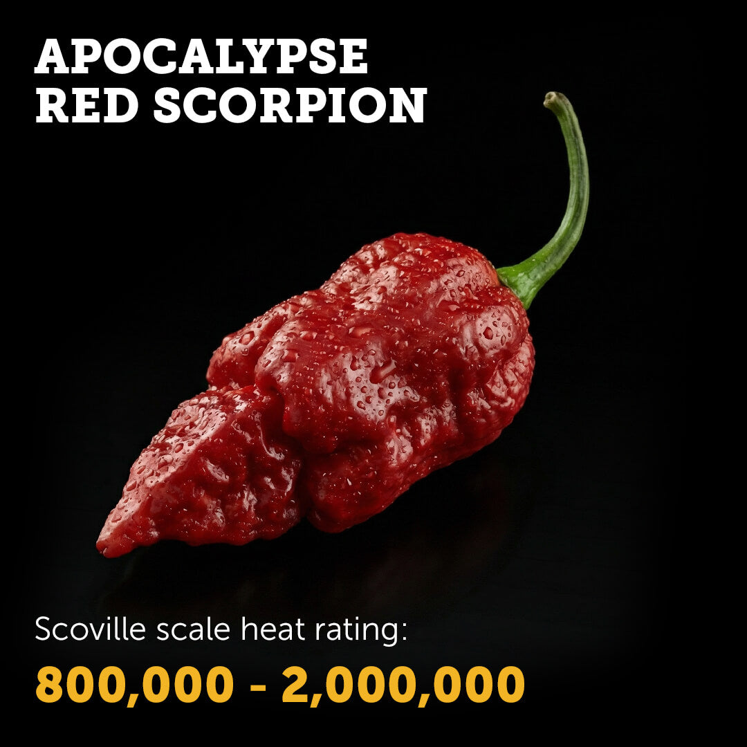 Apocalypse Red Scorpion Seeds
