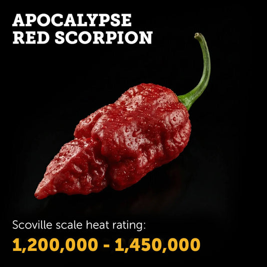 Ripe Red Apocalypse Scorpion chilli pepper