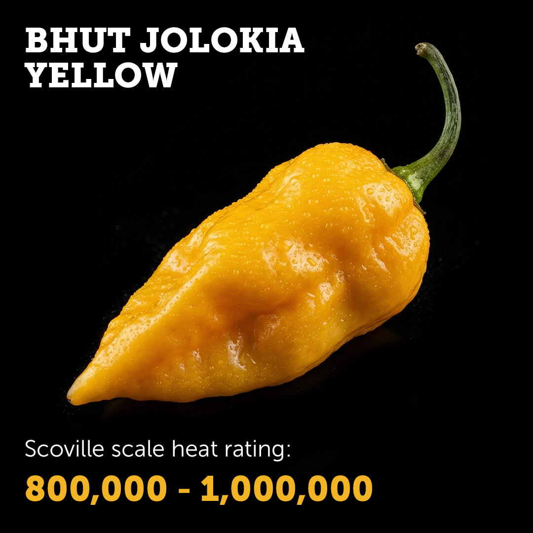 Bhut Jolokia (Yellow) Seeds