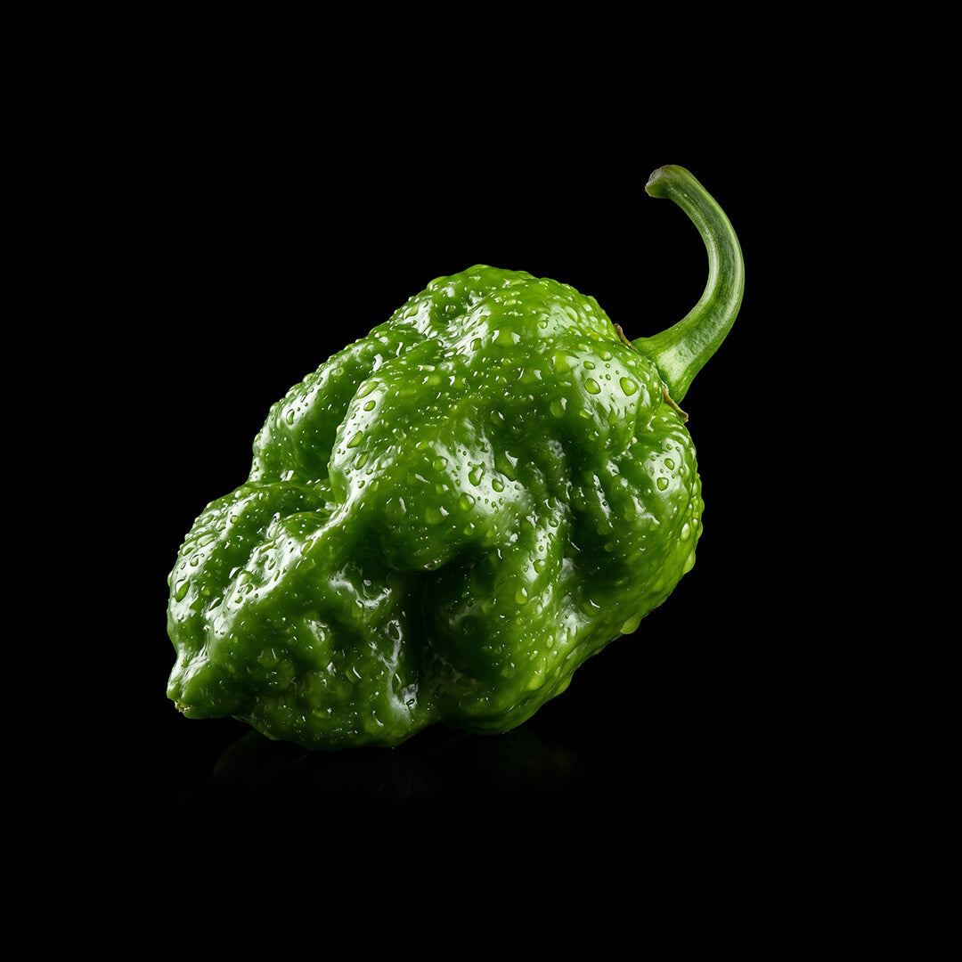 Unripe green Big Red Mama chilli pepper