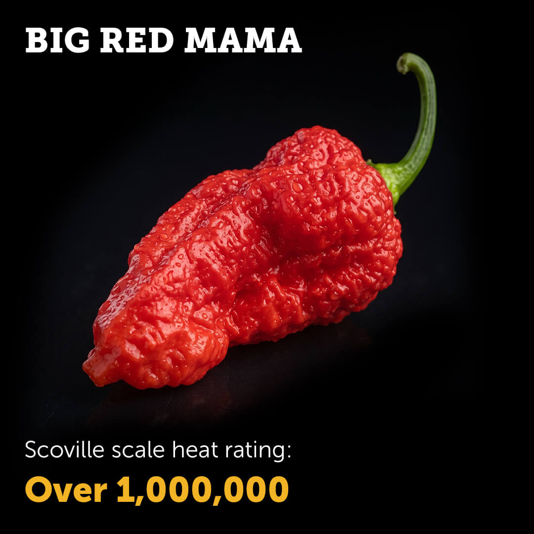 Ripe red Big Red Mama chilli pepper