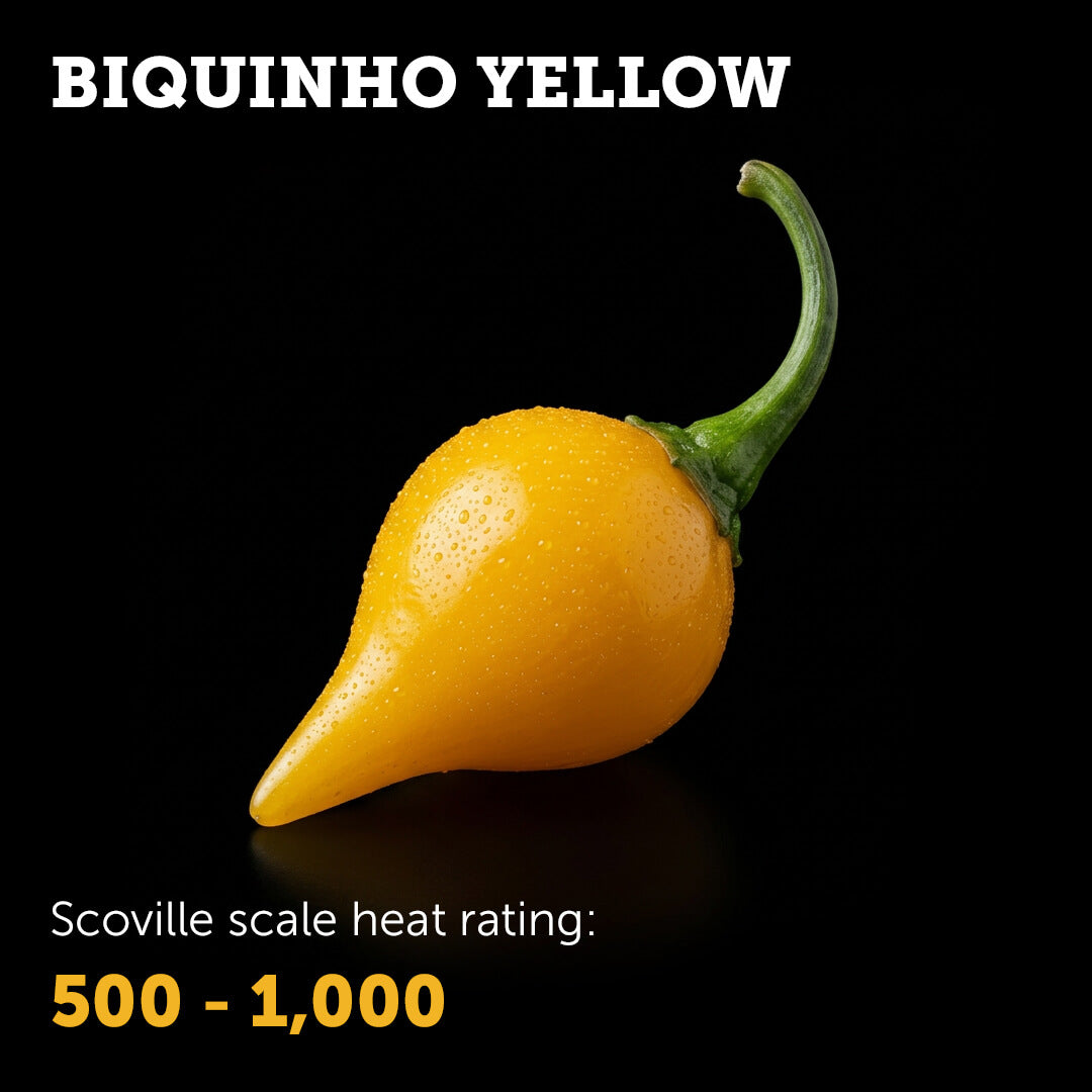 Biquinho (Yellow) Seeds