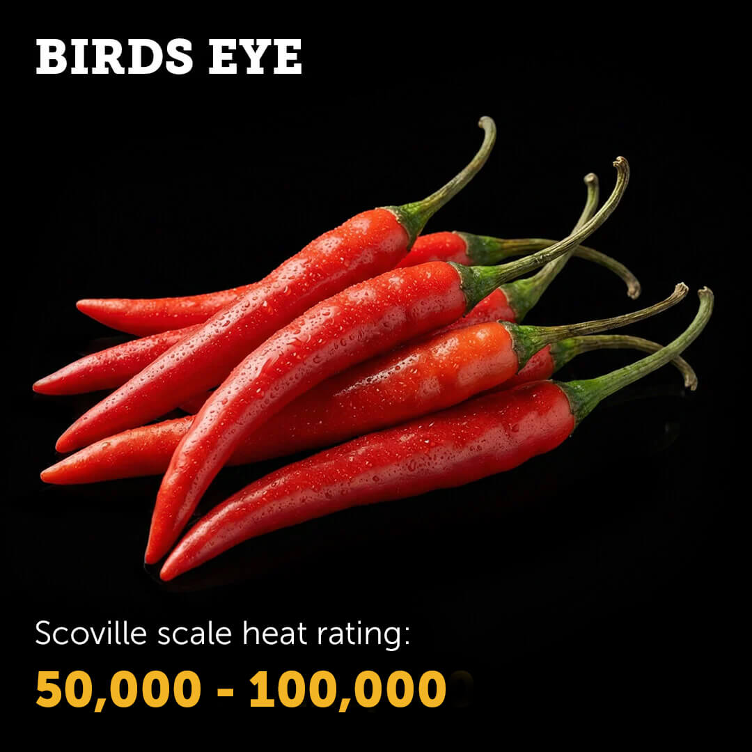 Ripe red Bird's Eye chilli pepper