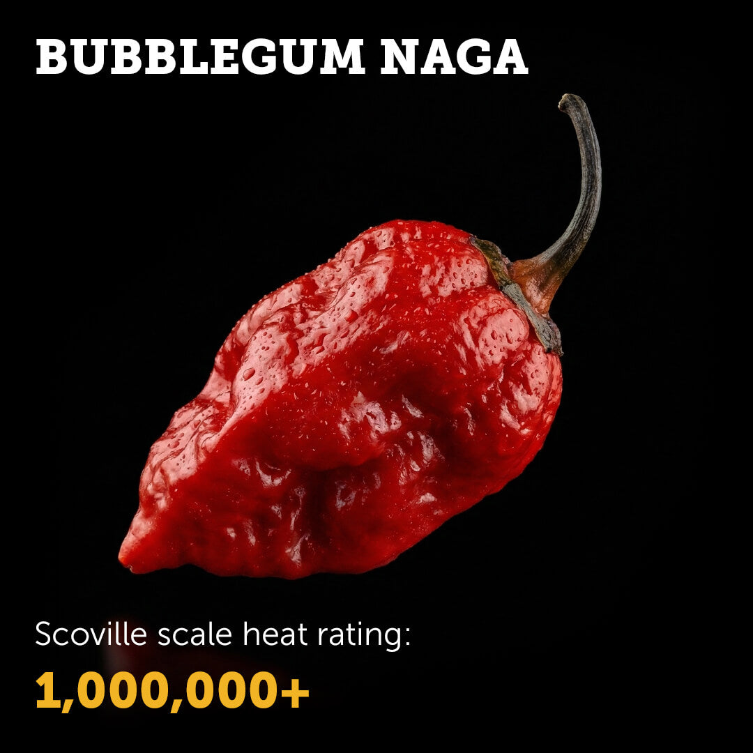 Bubblegum Naga Seeds