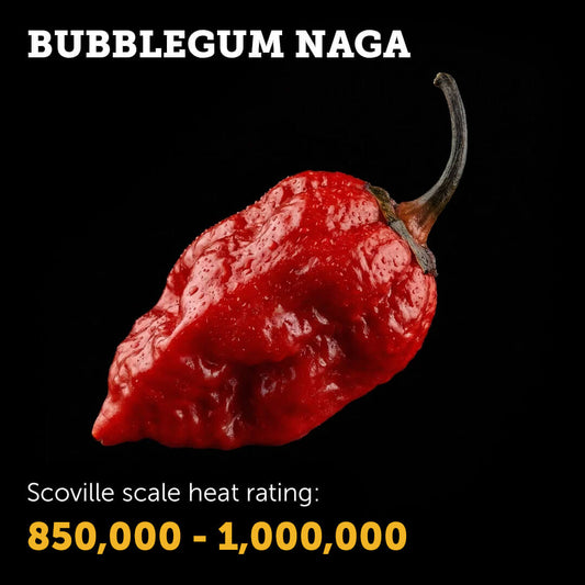 Ripe red Bubblegum Naga chilli pepper