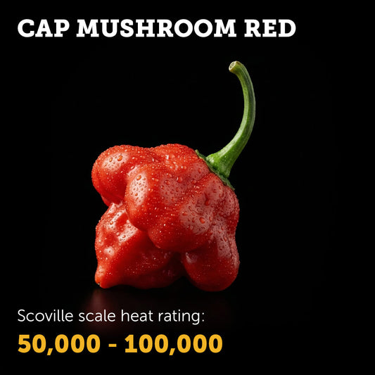 Cap Mushroom (Red) Seeds