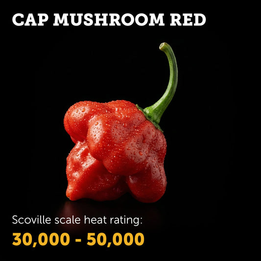 Ripe Red Cap Mushroom chilli pepper