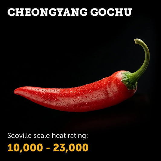 Ripe red Cheongyang Gochu