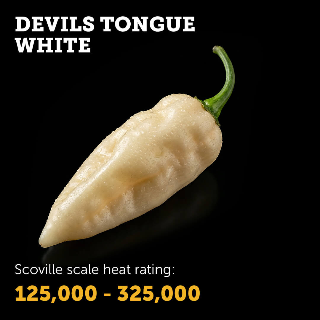 Devil's Tongue (White) Seeds