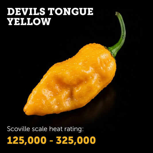 Devil's Tongue (Yellow) Seeds