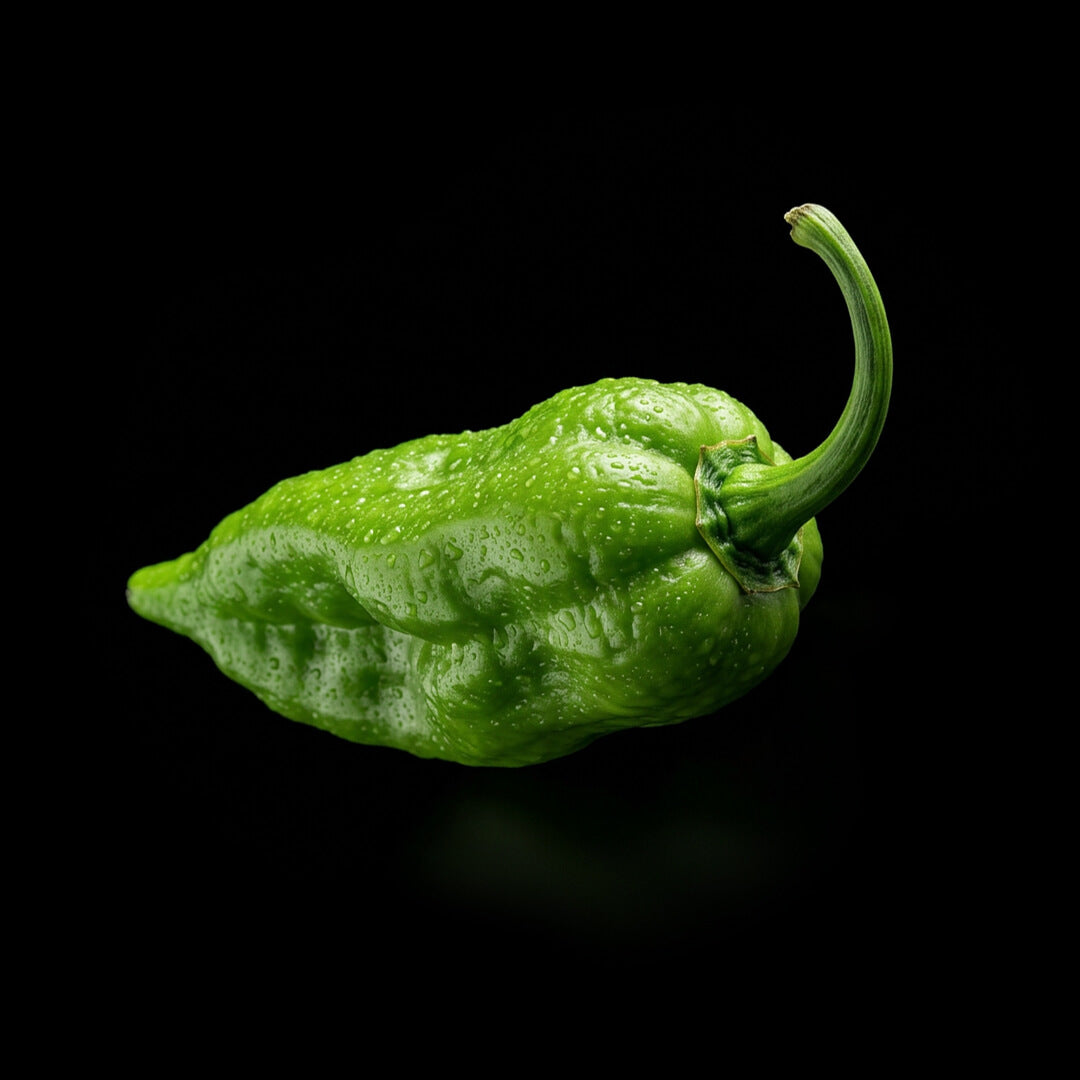 Devil's Tongue (Yellow) Seeds