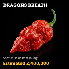 Dragon’s Breath Seeds