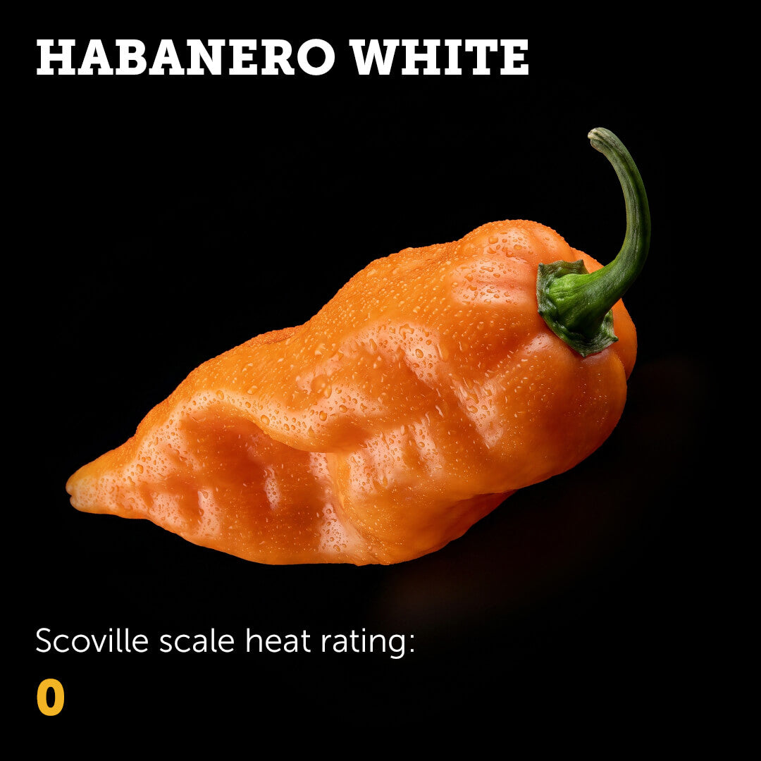 Habanada Seeds