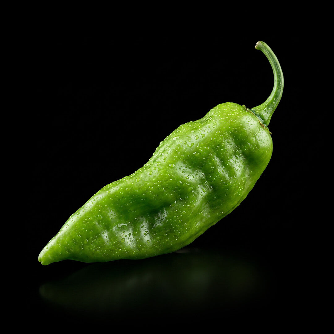 Habanada Seeds