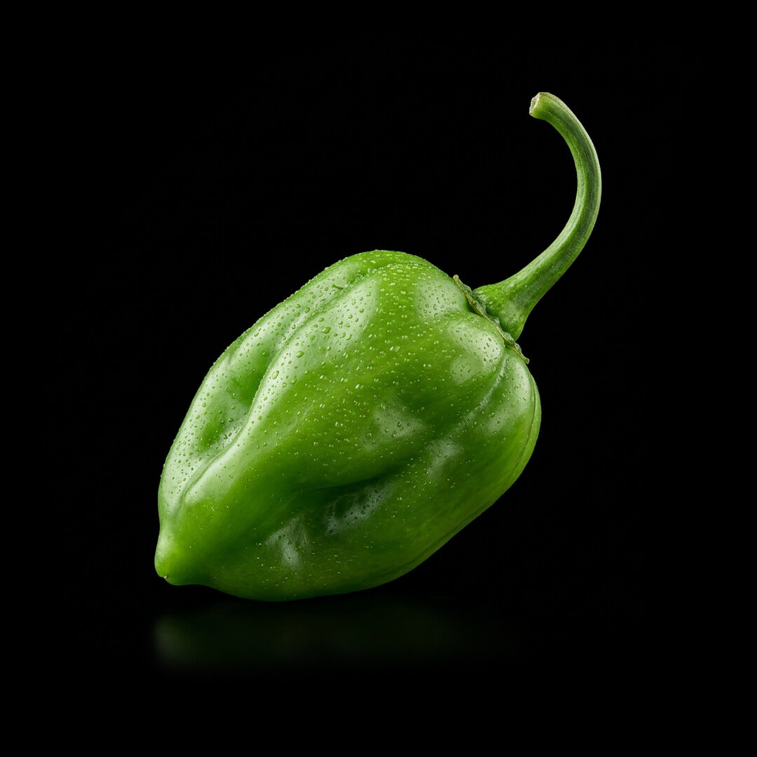 Habanero (Orange) Seeds